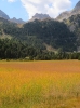 At the pass of Lucomagno