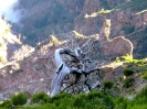 Madeira