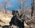 Tessin Lago Maggiore