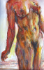 Female nude withut head, 
