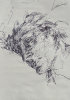 Head, light from down, 
