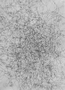 Abstraction, structure 21 01,