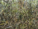 Structure 20 02, forest,